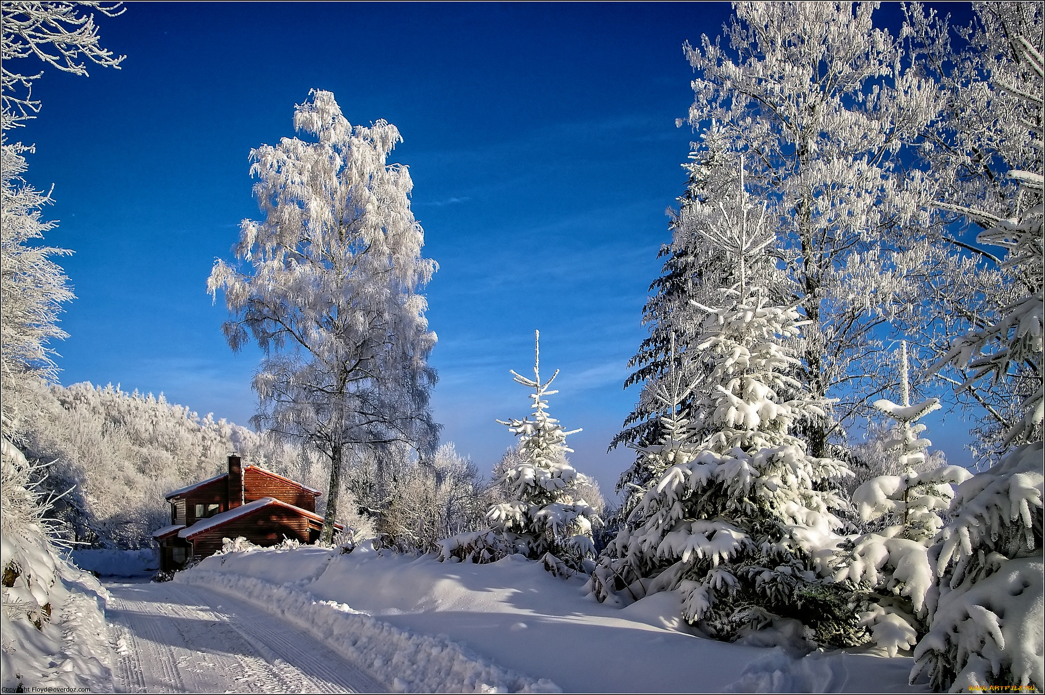 Природа Воронежской области зимой